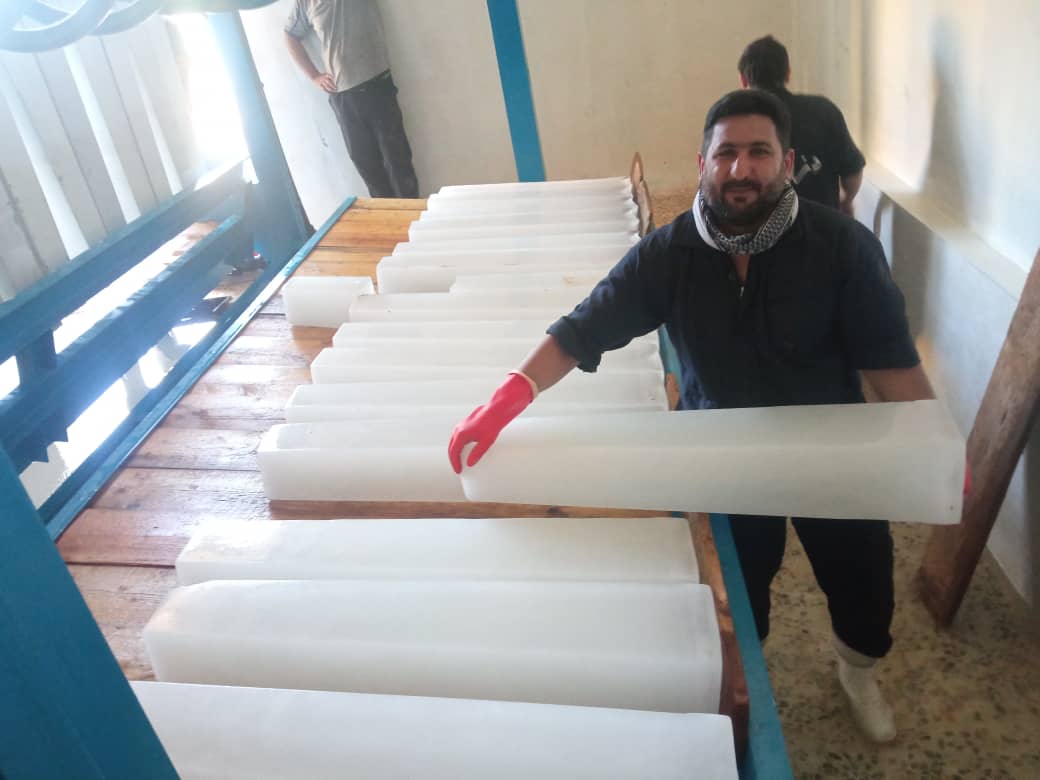 اولین برداشت یخ قالبی در  کشتارگاه شمال خوزستان